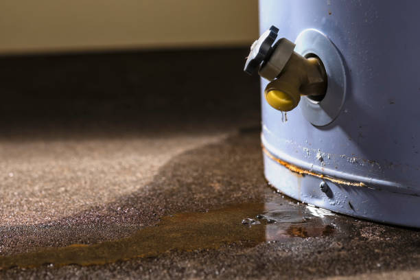 Best Water damage contractors near me  in Green Valley, MD
