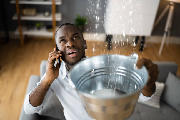 Best Water damage cleanup near me  in Green Valley, MD