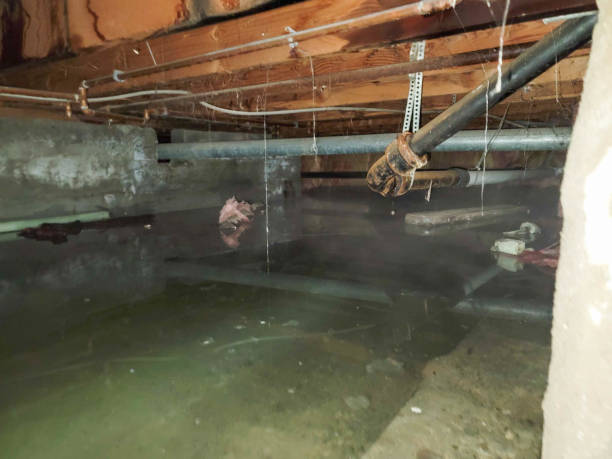 Best 24/7 water damage repair  in Green Valley, MD