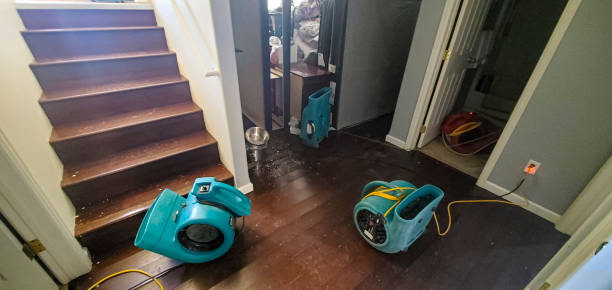 Best Flood damage cleanup  in Green Valley, MD