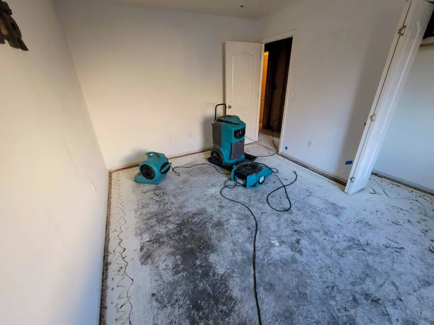 Best Water damage restoration near me  in Green Valley, MD