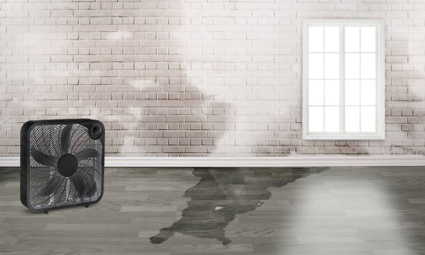 Best Flood restoration services  in Green Valley, MD