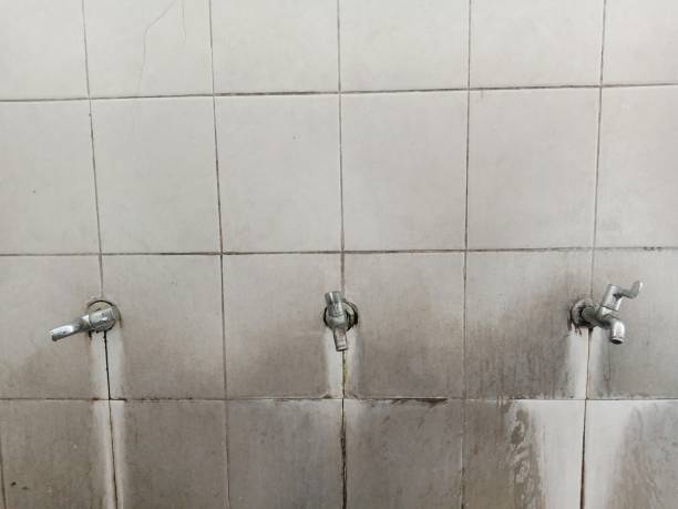 Best Sewage cleanup and water damage restoration  in Green Valley, MD