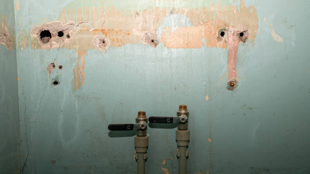 Best Flood restoration services  in Green Valley, MD