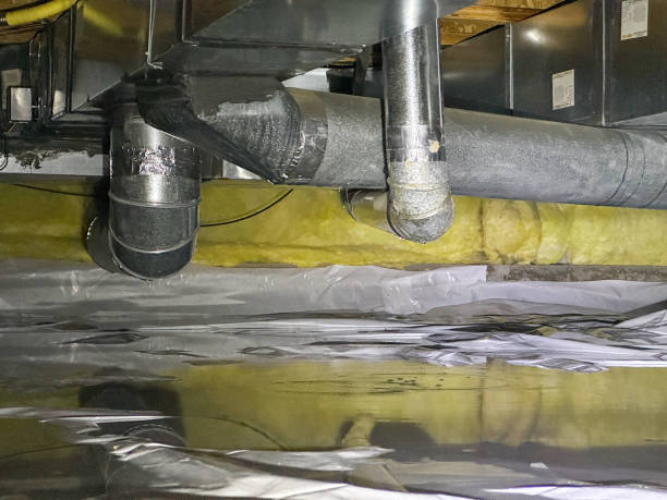 Best Water damage restoration near me  in Green Valley, MD