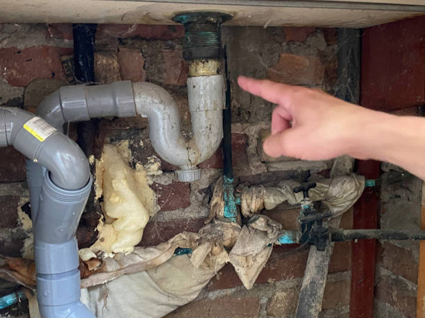 Best Water damage restoration near me  in Green Valley, MD