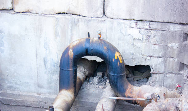 Best Water damage contractors near me  in Green Valley, MD