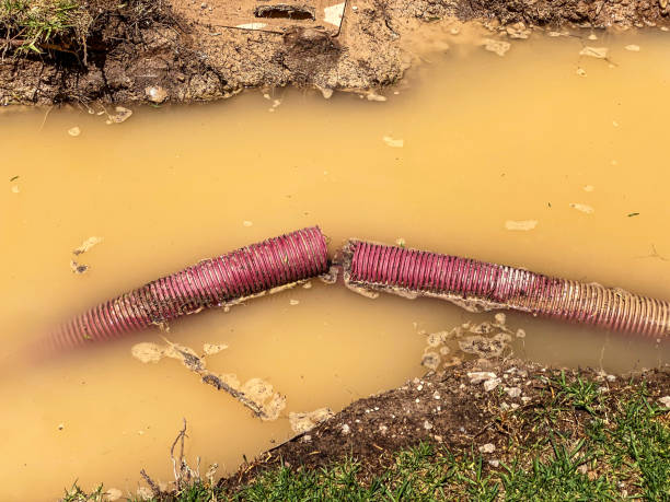 Best Water damage restoration specialists  in Green Valley, MD