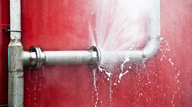 Best Carpet water damage restoration  in Green Valley, MD